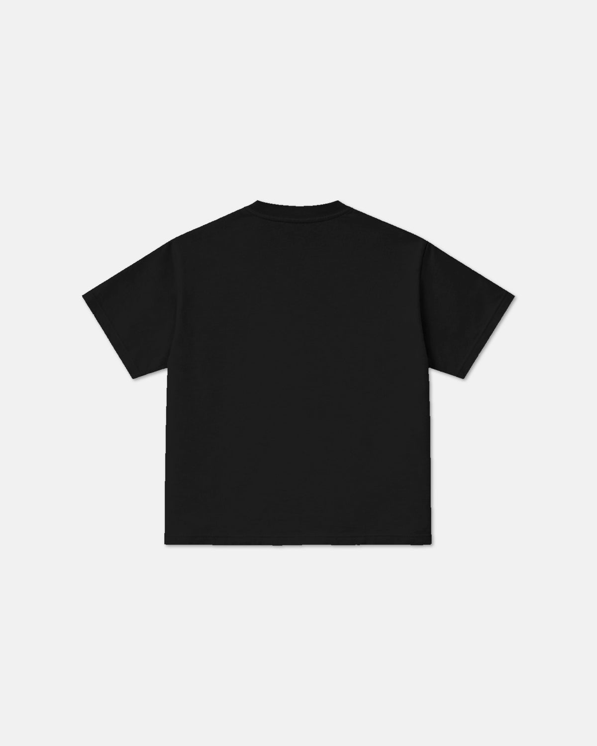 ASTER-RISK "EU" Tee ⓀLASSIC FIT
