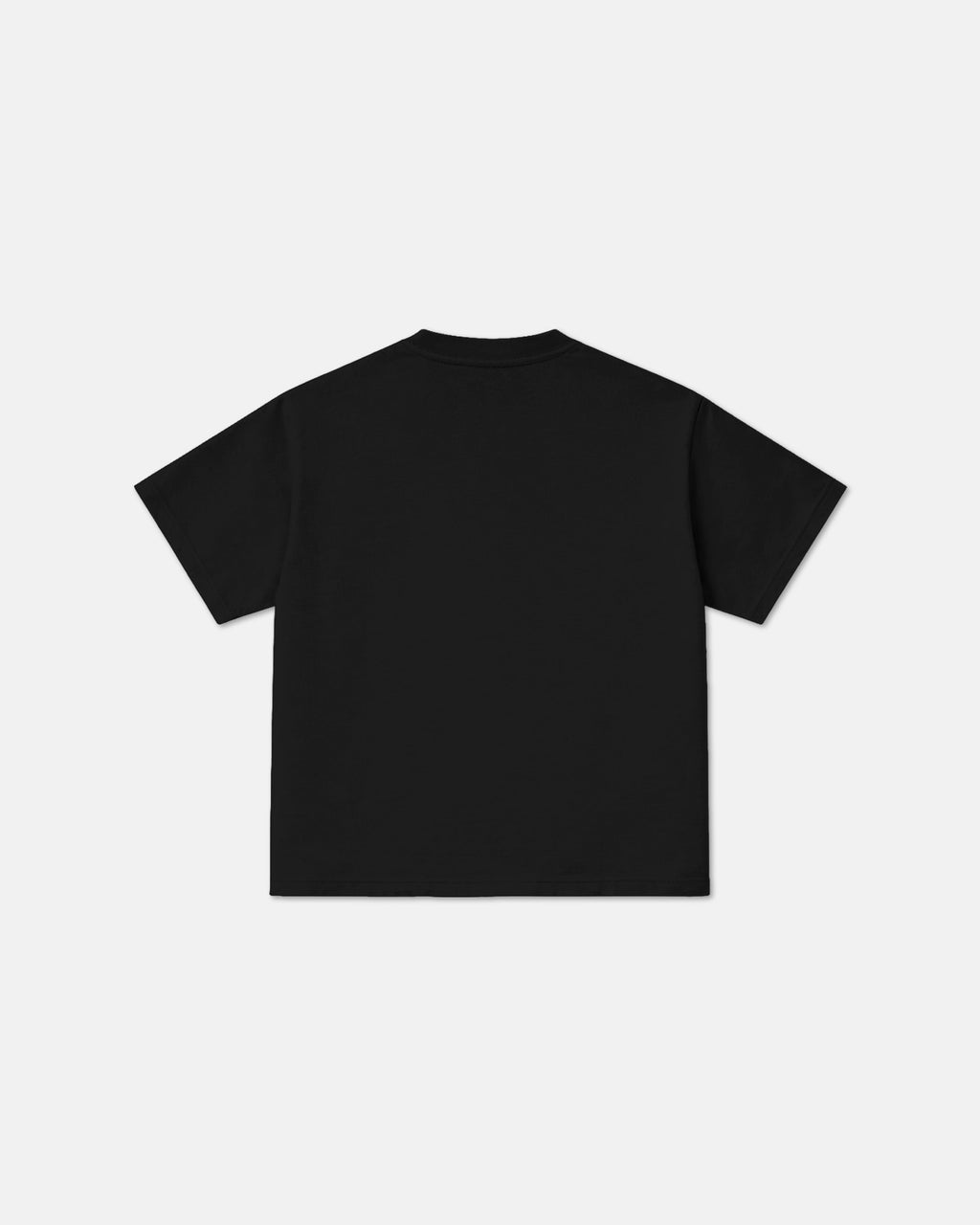 XZIBIT TEE ⓀLASSIC FIT