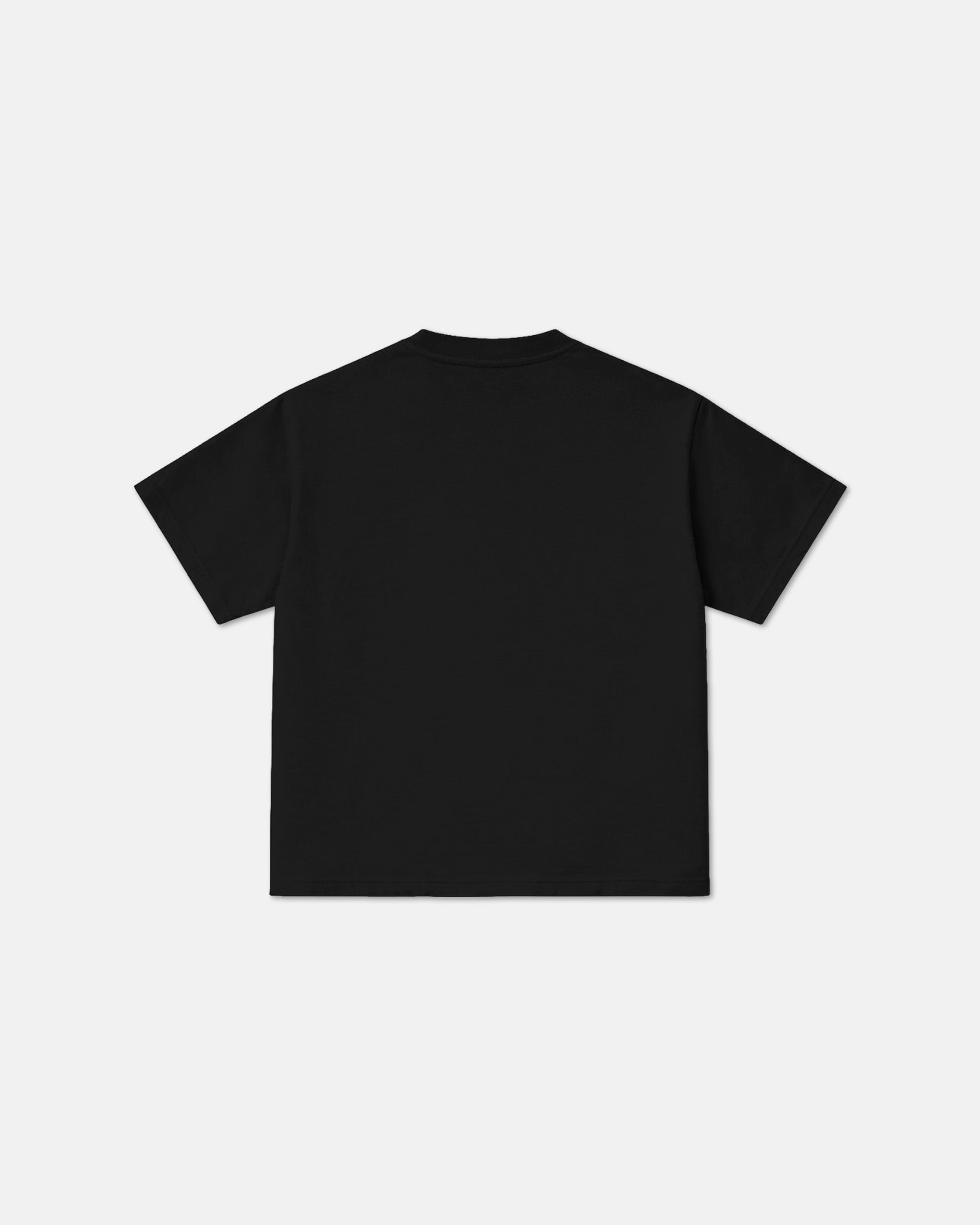 XZIBIT TEE ⓀLASSIC FIT