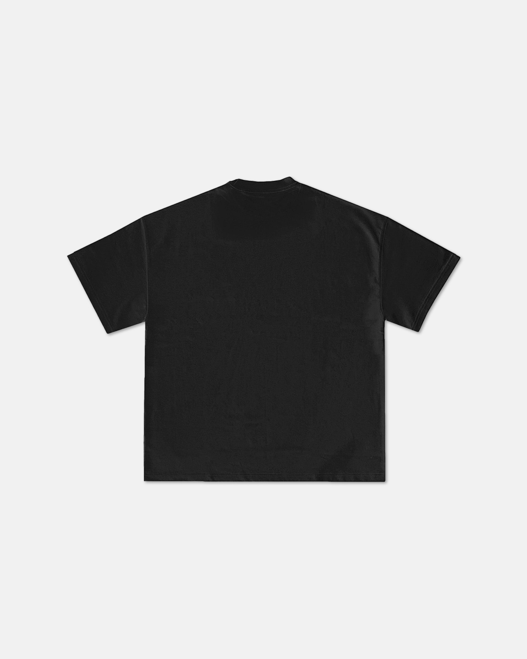 ASTER-RISK "EU" Tee